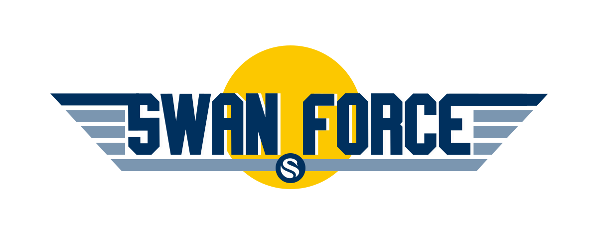 Swan Bitcoin DCA Service